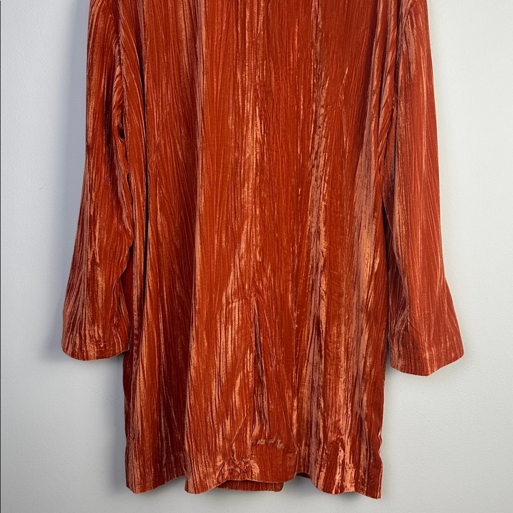 NWOT Free People Daria Crinkle Velvet Long Blazer XL Cinnamon Slouchy Oversized - Picture 12 of 16